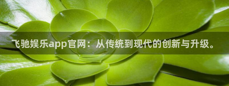 万向娱乐app：飞驰娱乐app官网：从传统到现代的创新与升级。