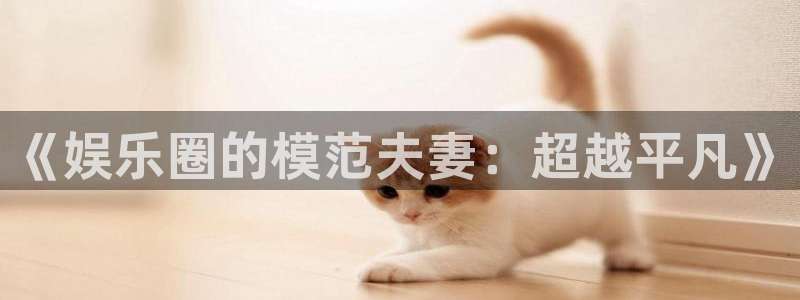 万向娱乐注册登录：《娱乐圈的模范夫妻：超越平凡》
