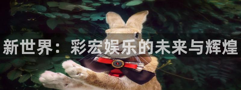 万向娱乐：新世界：彩宏娱乐的未来与辉煌