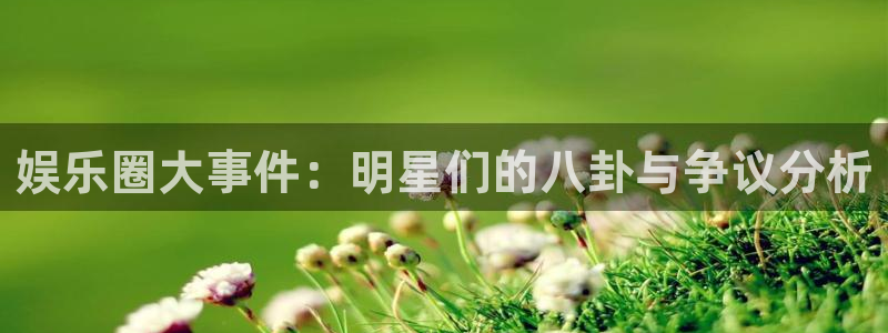 万向娱乐：娱乐圈大事件：明星们的八卦与争议分析